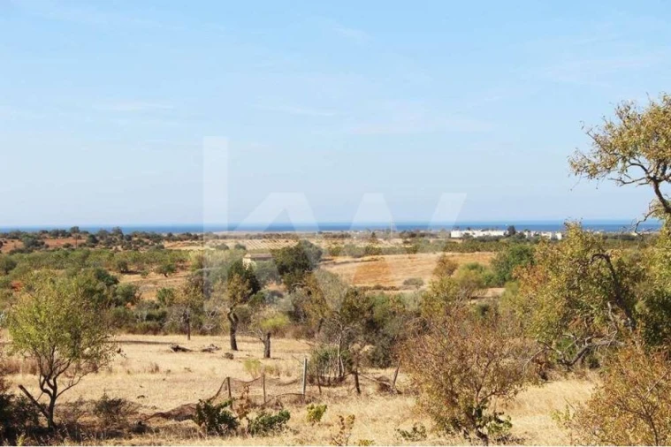 Terreno para Venda em Alcantarilha e Pêra Foto 8