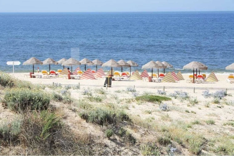 Terreno para Venda em Alcantarilha e Pêra Foto 22