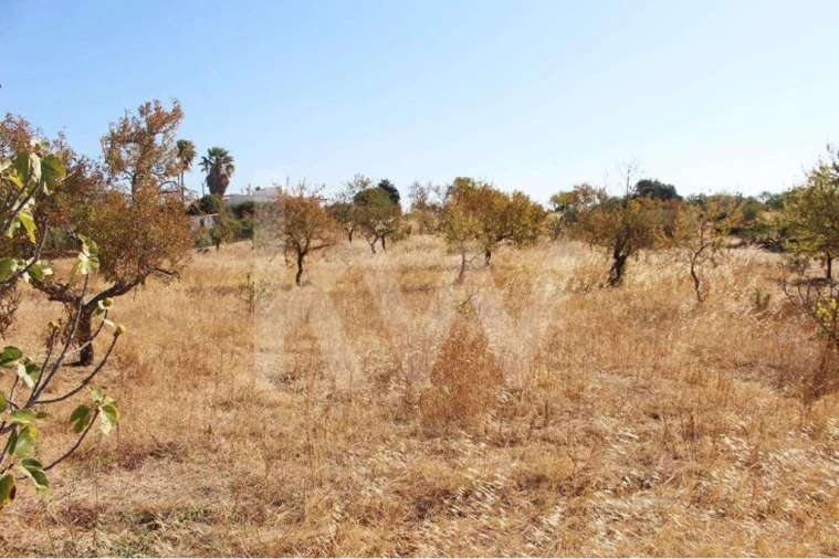 Terreno para Venda em Alcantarilha e Pêra Foto 10