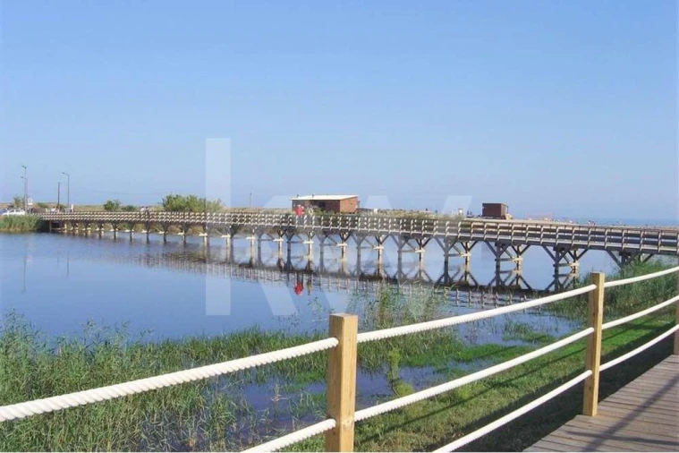 Terreno para Venda em Alcantarilha e Pêra Foto 29