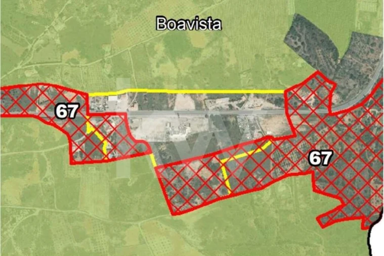 Terreno para Venda em Alcantarilha e Pêra Foto 12