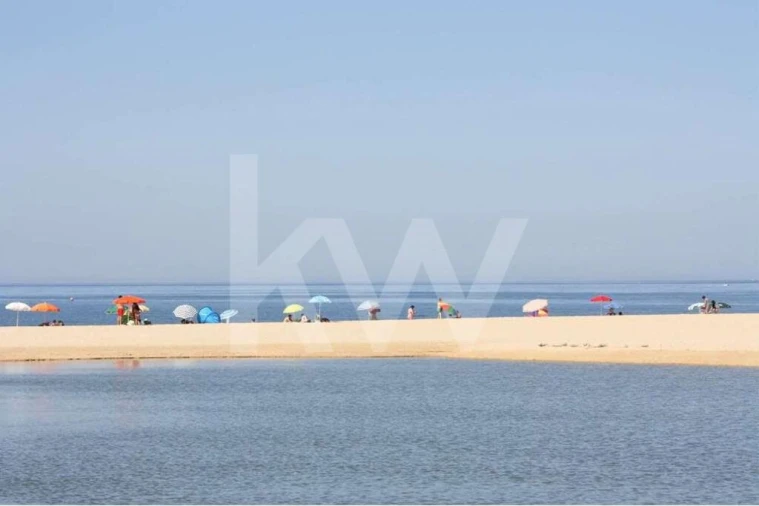 Terreno para Venda em Alcantarilha e Pêra Foto 24