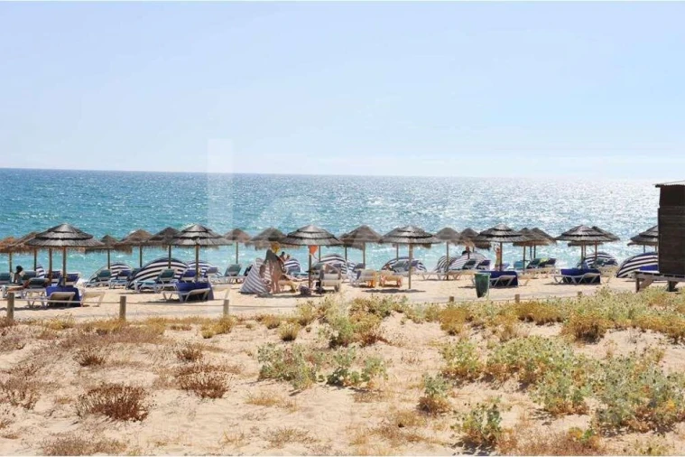 Terreno para Venda em Alcantarilha e Pêra Foto 25