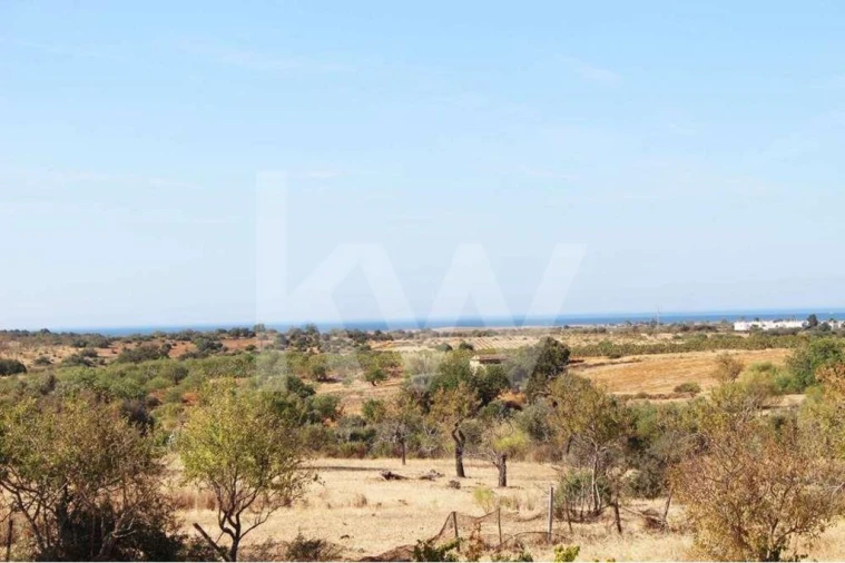 Terreno para Venda em Alcantarilha e Pêra Foto 5