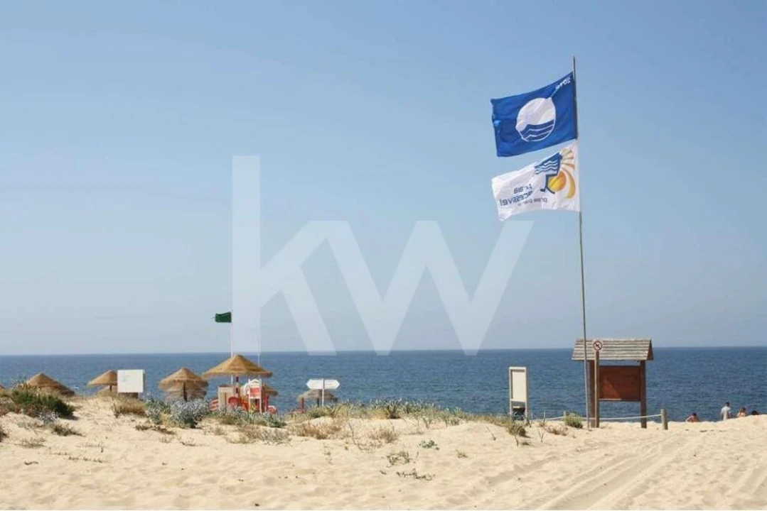 Terreno para Venda em Alcantarilha e Pêra Foto 23