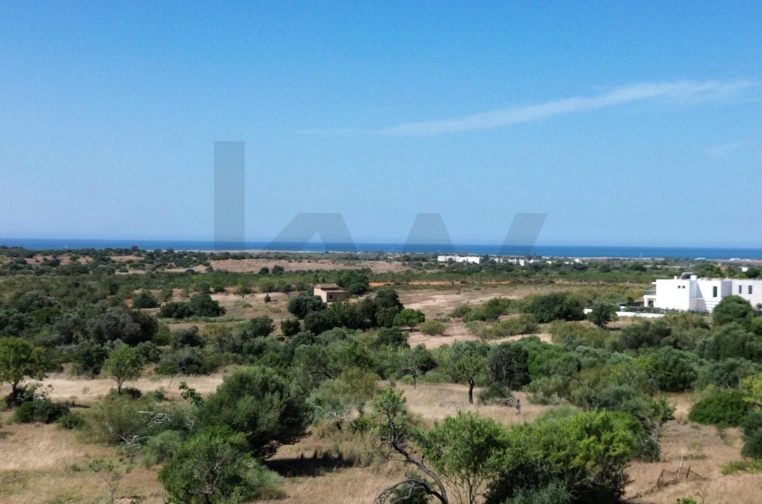 Terreno para Venda em Alcantarilha e Pêra Foto 5