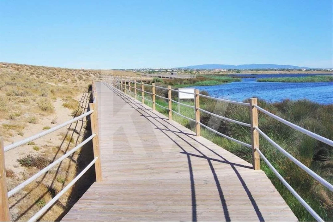 Terreno para Venda em Alcantarilha e Pêra Foto 30