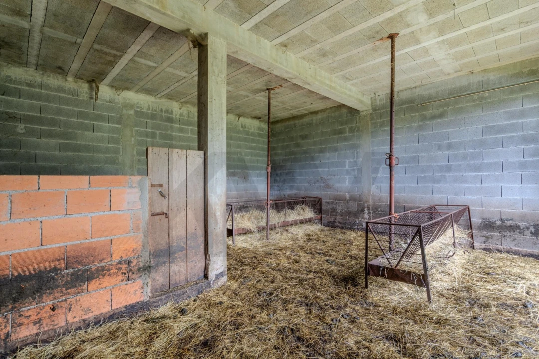 Quinta T4 para Venda em Felgueiras e Feirão Foto 45