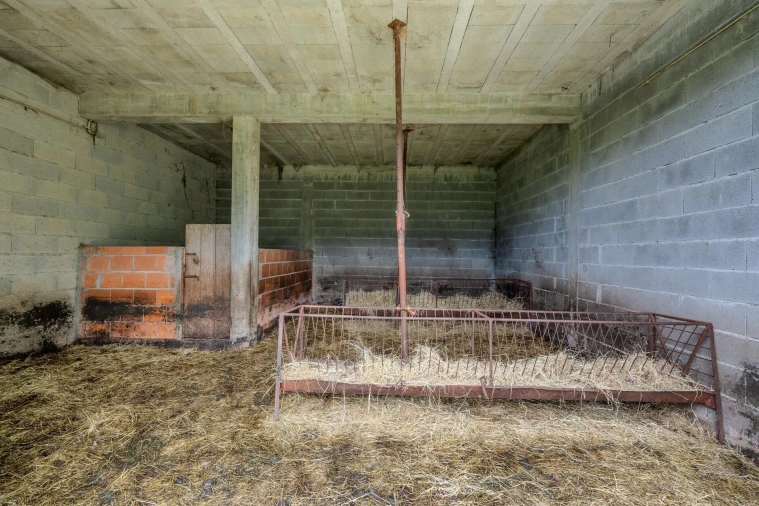 Quinta T4 para Venda em Felgueiras e Feirão Foto 46