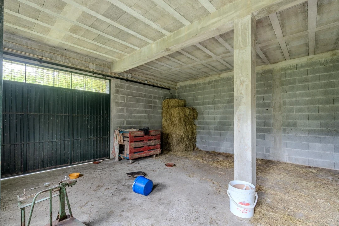 Quinta T4 para Venda em Felgueiras e Feirão Foto 44