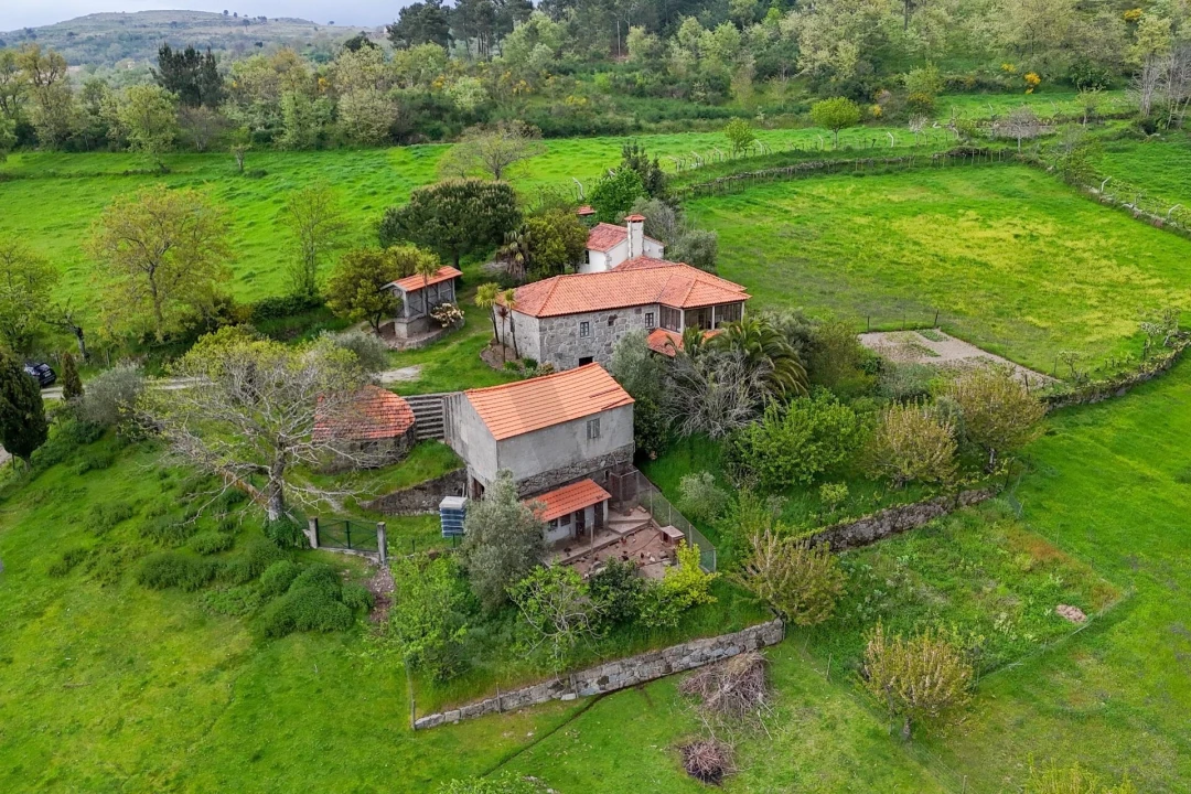 Quinta T4 para Venda em Felgueiras e Feirão Foto 1