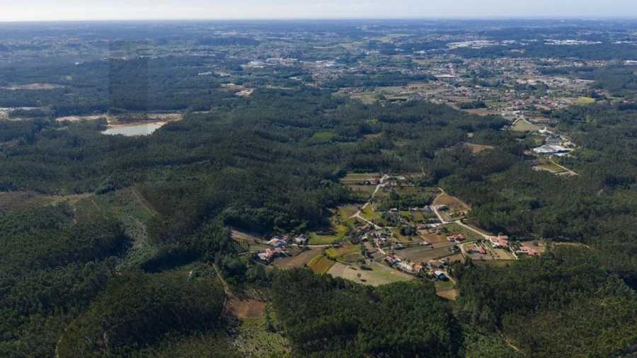 Terreno para Venda em Aguada de Cima Foto 6