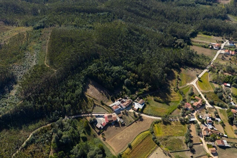 Terreno para Venda em Aguada de Cima Foto 7