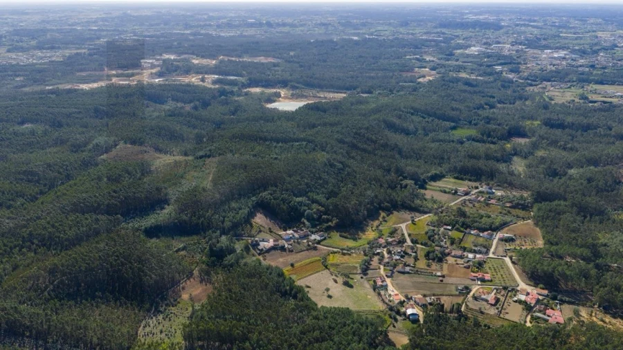 Terreno para Venda em Aguada de Cima Foto 8