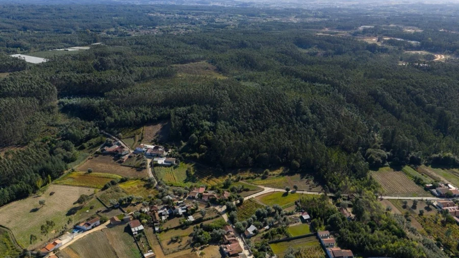Terreno para Venda em Aguada de Cima Foto 9
