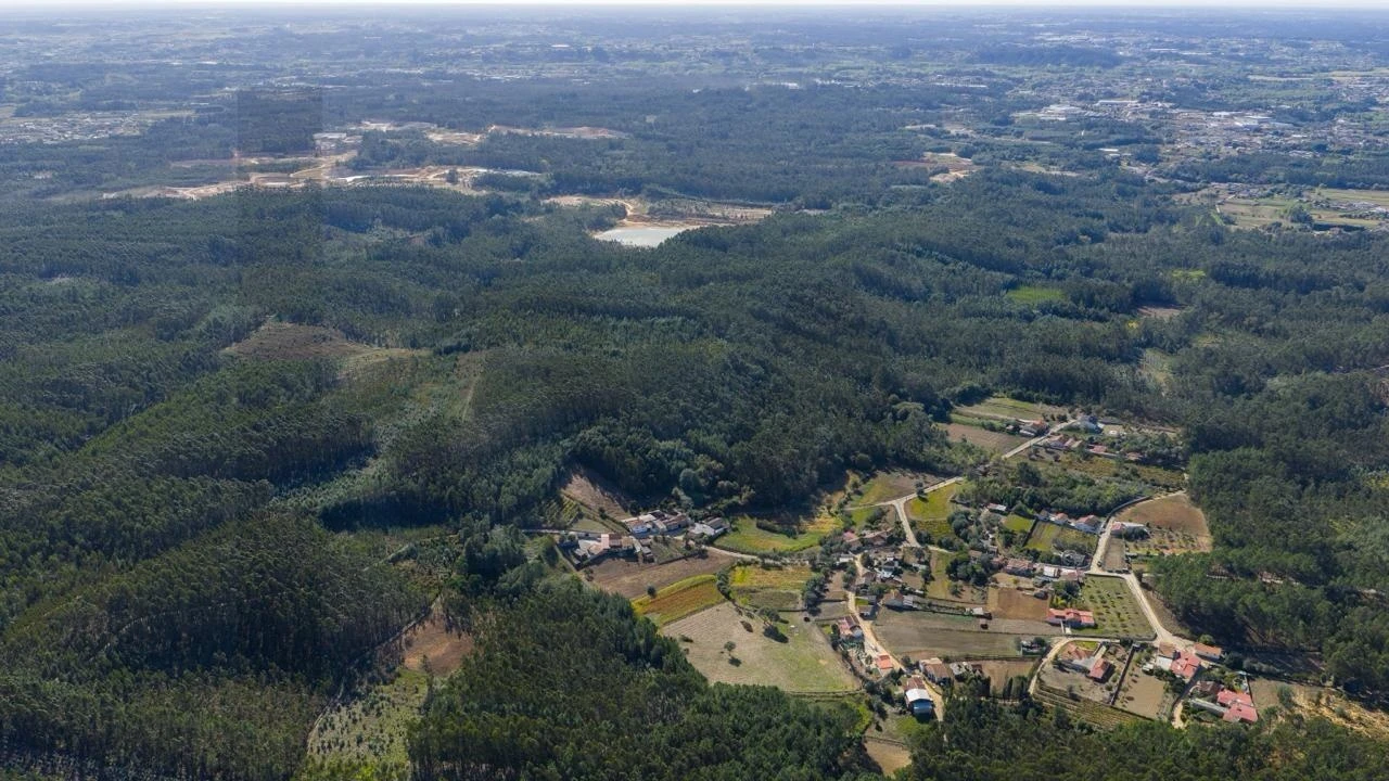 Terreno para Venda em Aguada de Cima Foto 8