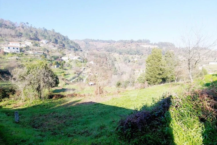 Terreno para Venda em Paredes de Viadores e Manhuncelos Foto 6