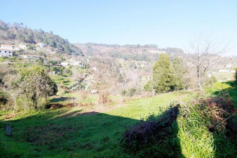 Terreno para Venda em Paredes de Viadores e Manhuncelos Foto 5