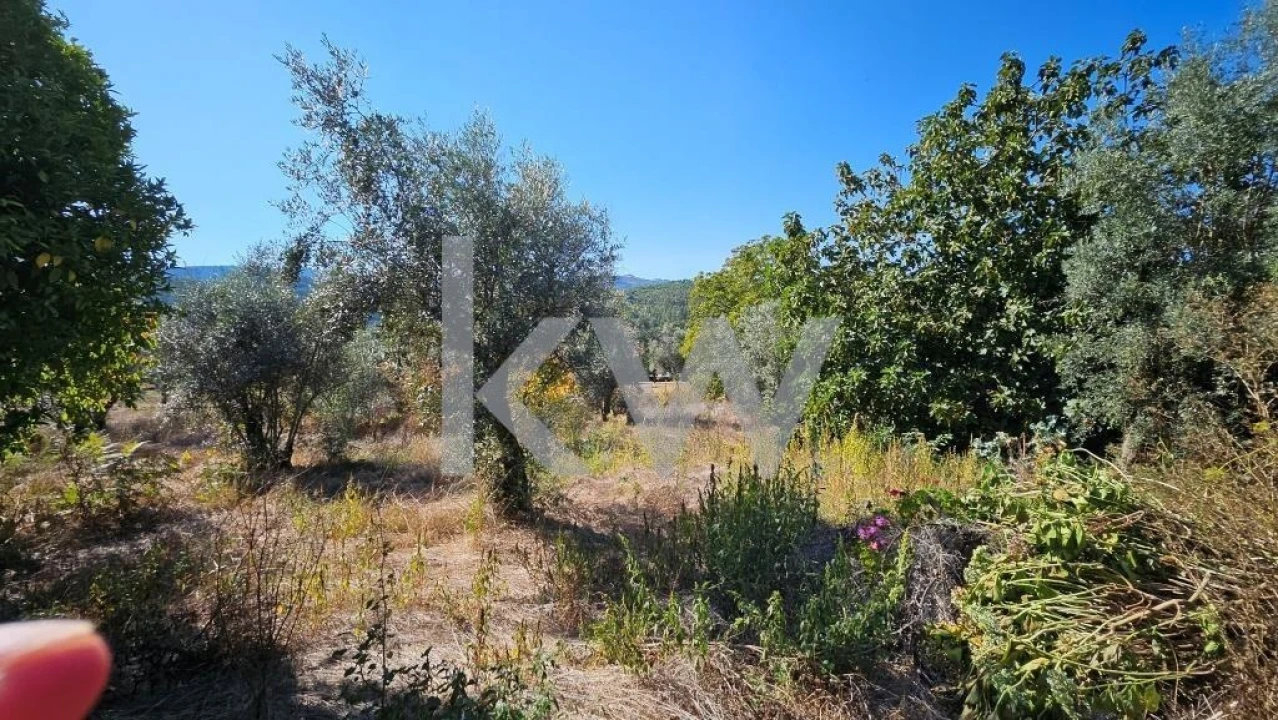 Quinta T8 para Venda em Santiago de Besteiros Foto 69