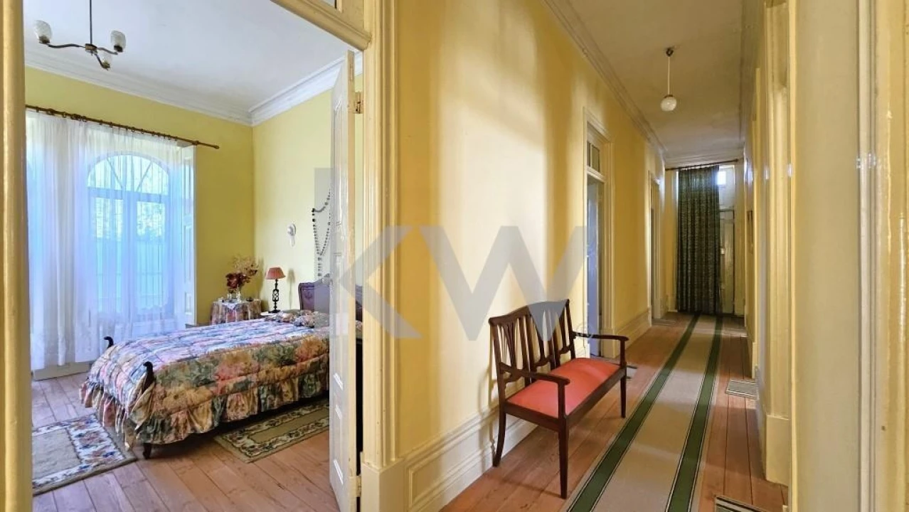 Quinta T8 para Venda em Santiago de Besteiros Foto 48