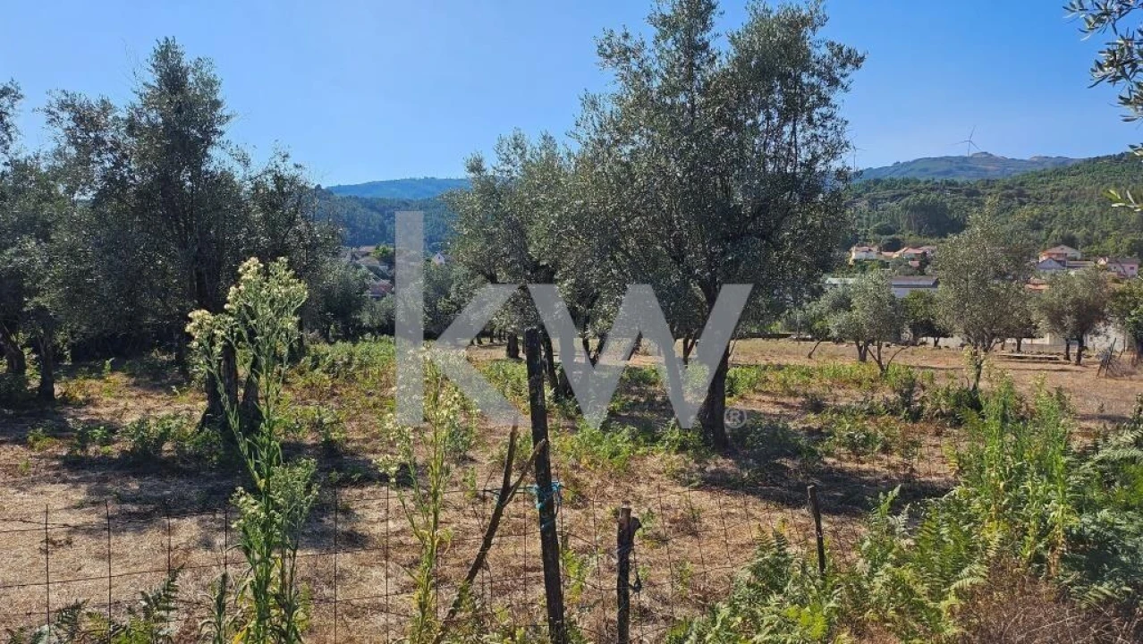 Quinta T8 para Venda em Santiago de Besteiros Foto 71