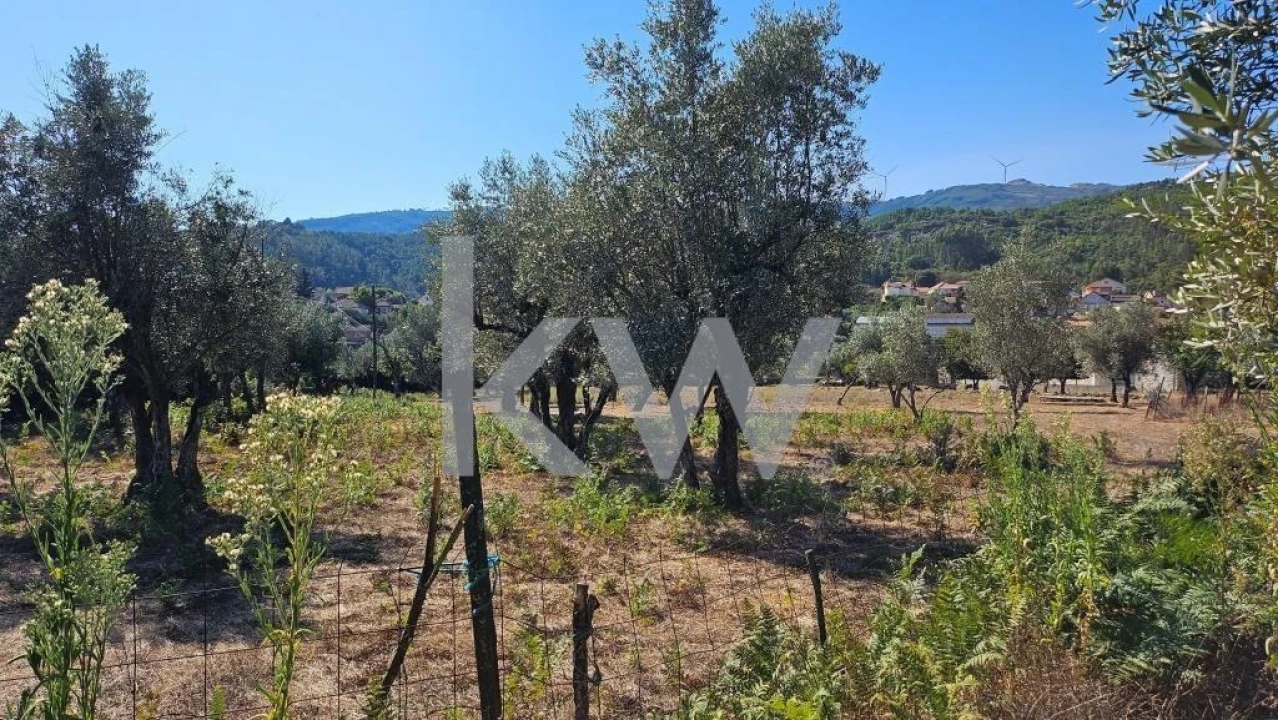 Quinta T8 para Venda em Santiago de Besteiros Foto 70