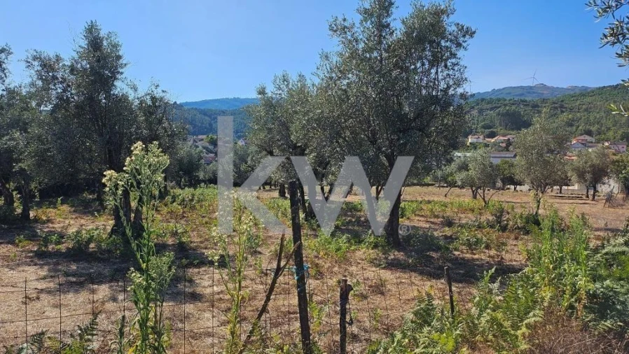 Quinta T8 para Venda em Santiago de Besteiros Foto 71