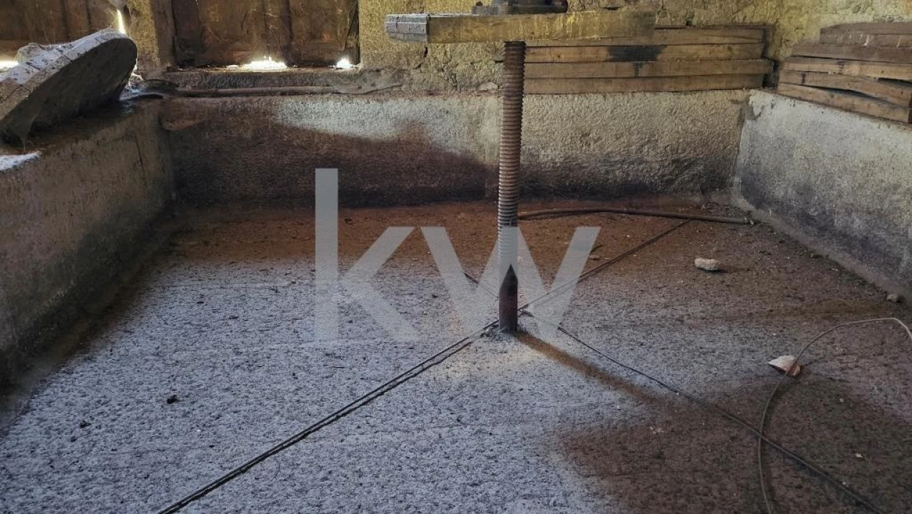 Quinta T8 para Venda em Santiago de Besteiros Foto 7