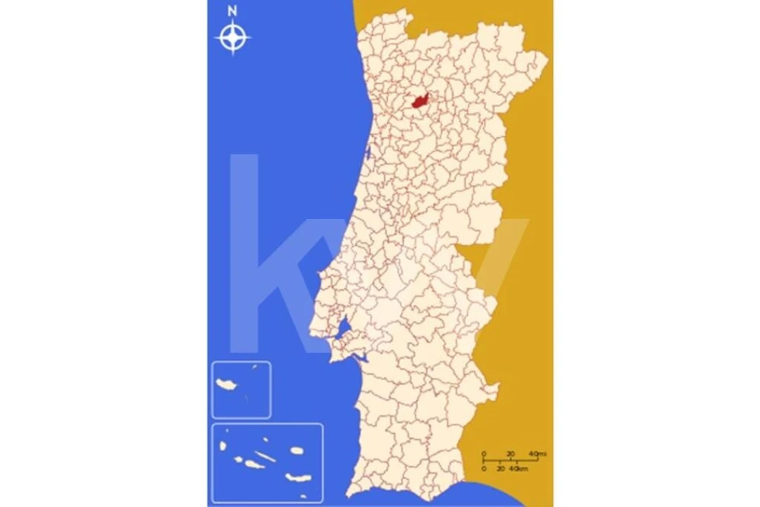 Terreno para Venda em Gestaço Foto 12