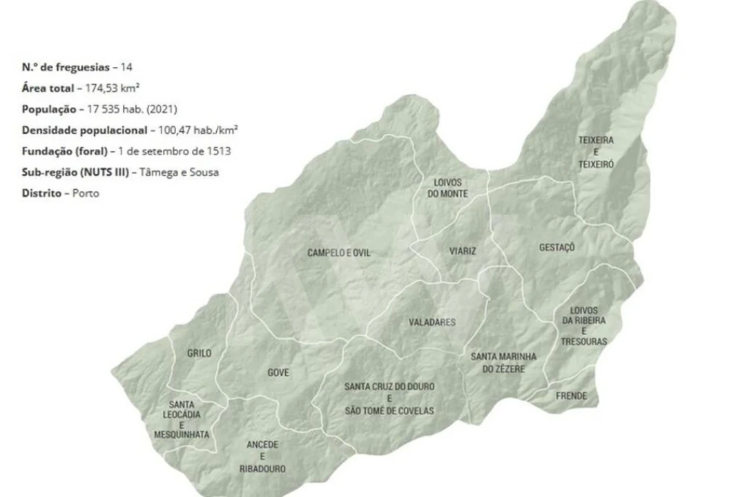 Terreno para Venda em Gestaço Foto 14