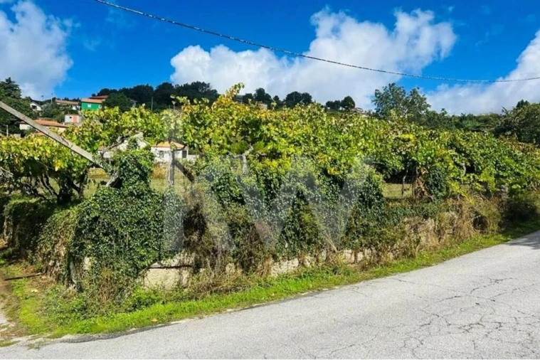 Terreno para Venda em Gestaço Foto 3