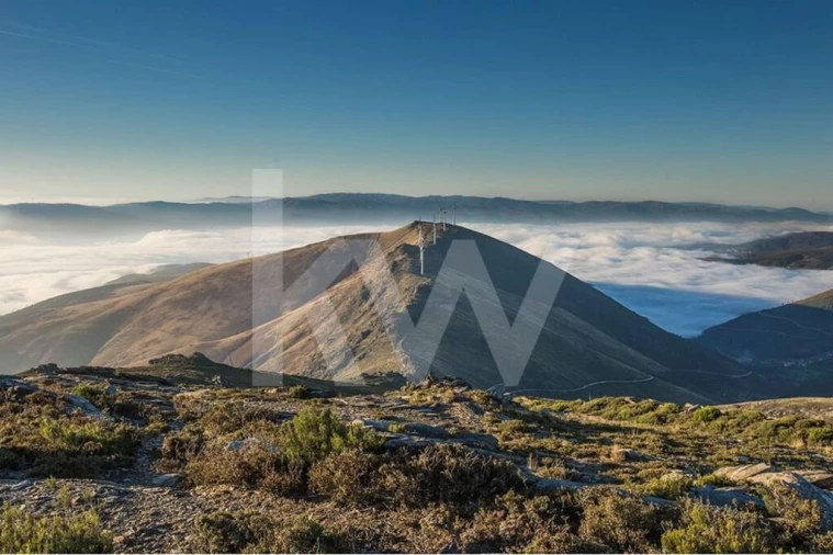 Terreno para Venda em Gestaço Foto 13