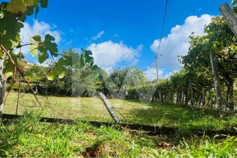 Terreno para Venda em Gestaço Foto 5