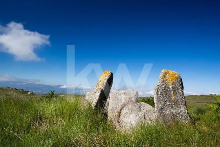 Terreno para Venda em Gestaço Foto 18