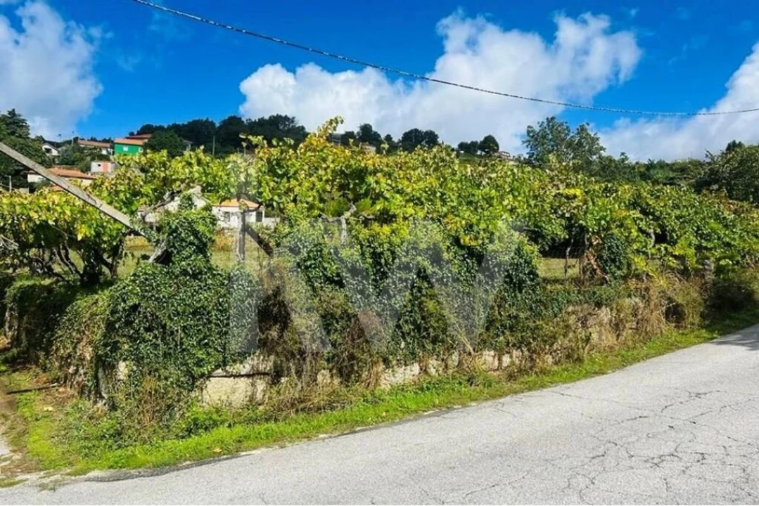 Terreno para Venda em Gestaço Foto 3