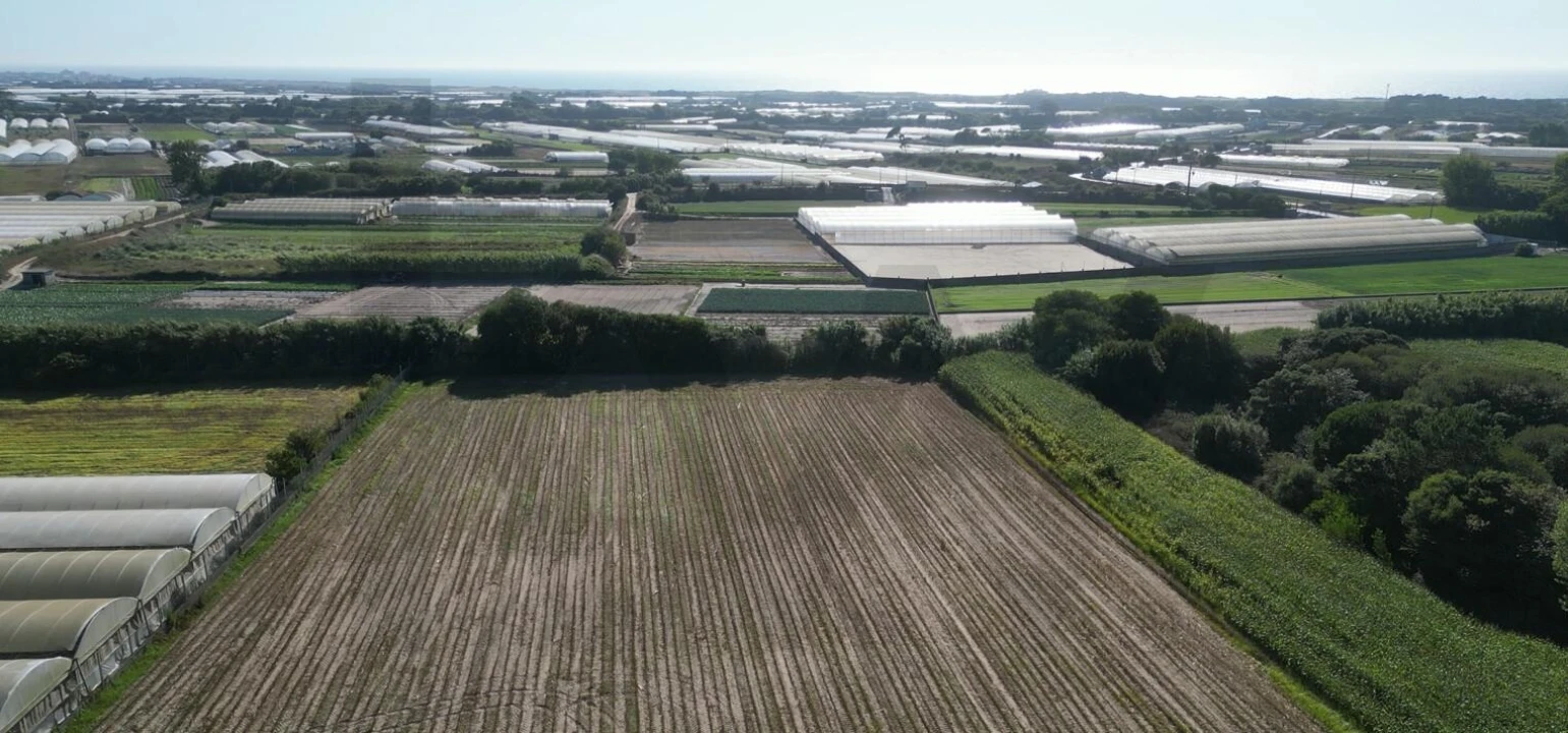 Terreno para Venda em Estela Foto 17