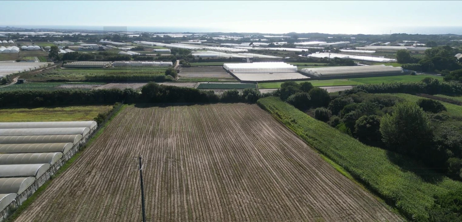 Terreno para Venda em Estela Foto 16