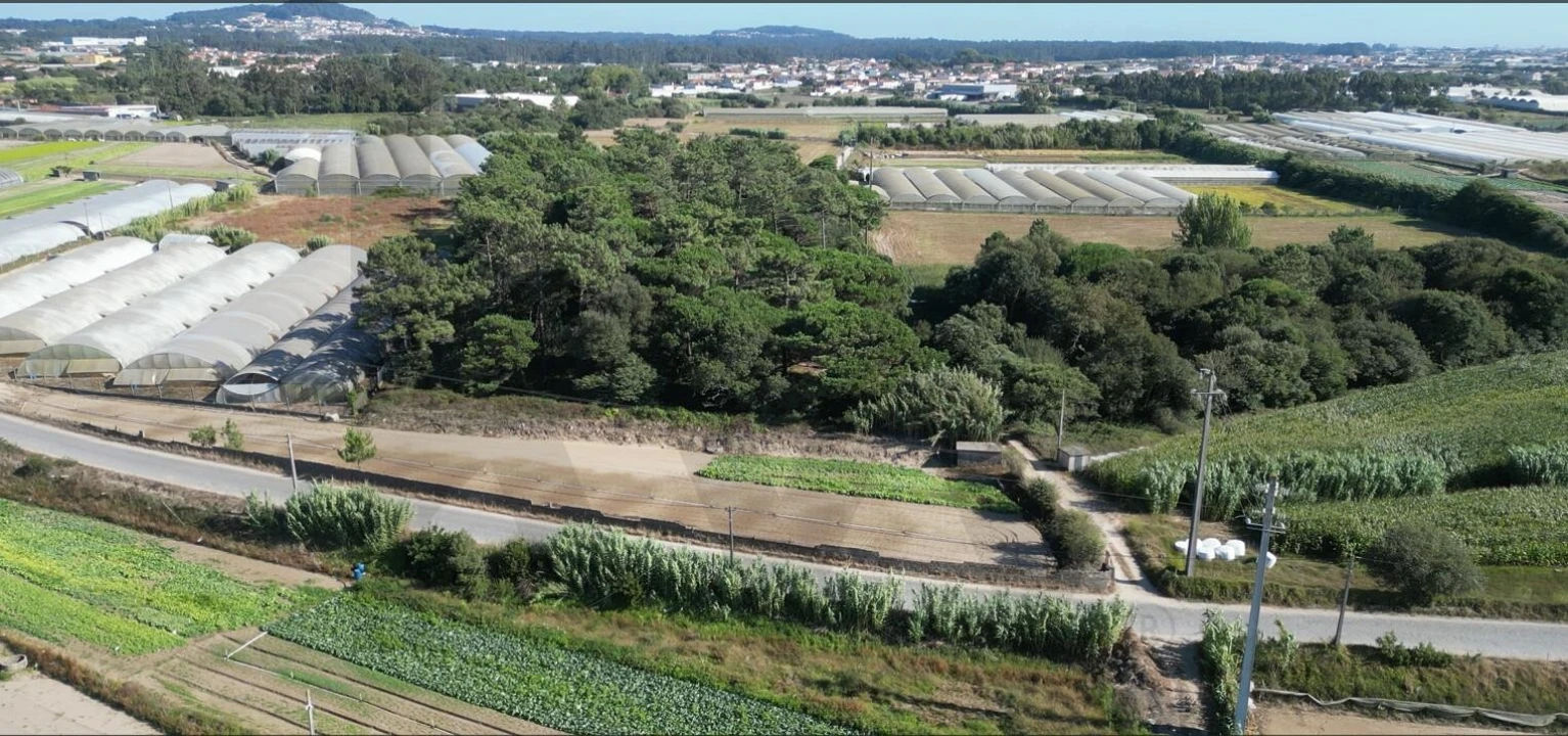 Terreno para Venda em Estela Foto 12