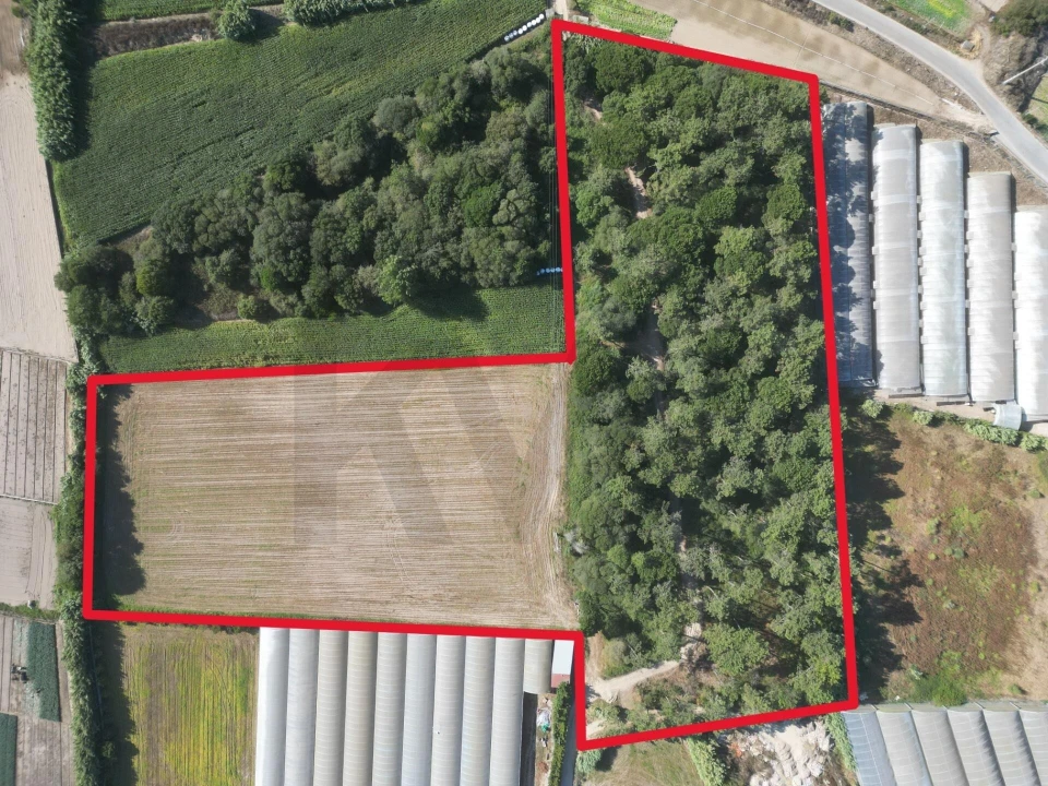 Terreno para Venda em Estela Foto 11