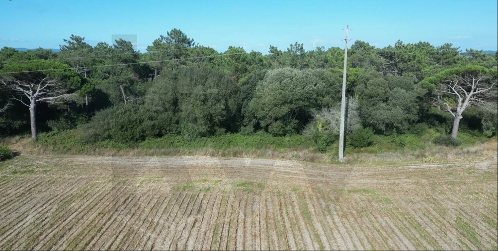 Terreno para Venda em Estela Foto 23