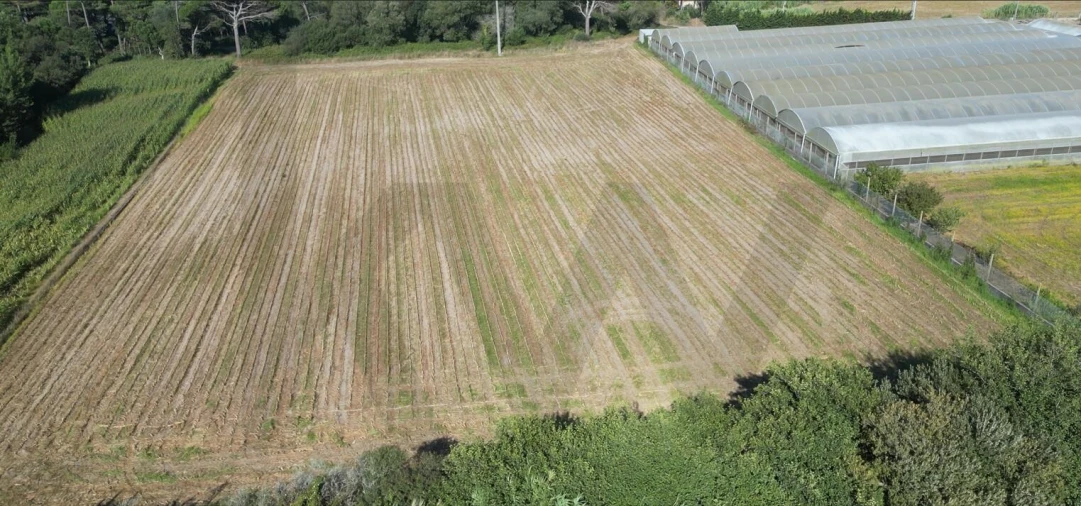Terreno para Venda em Estela Foto 18