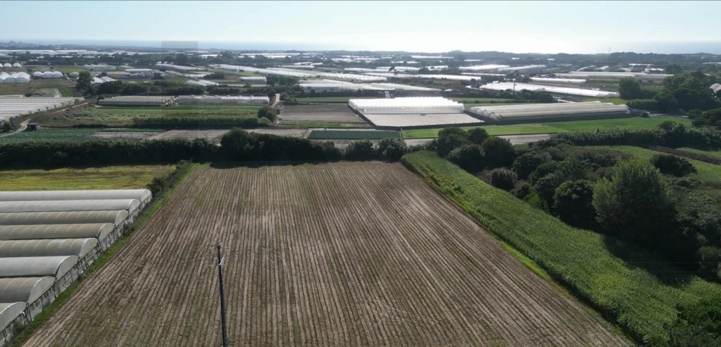 Terreno para Venda em Estela Foto 16