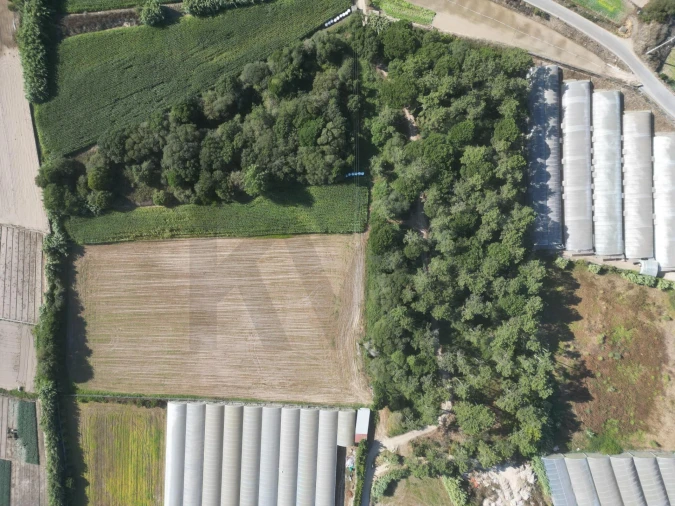 Terreno para Venda em Estela Foto 8