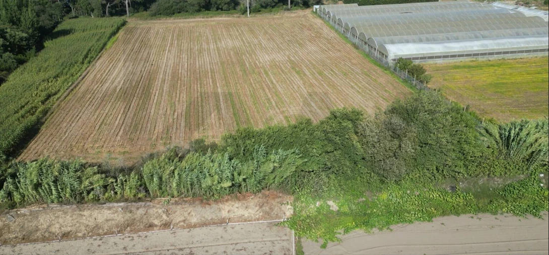 Terreno para Venda em Estela Foto 20