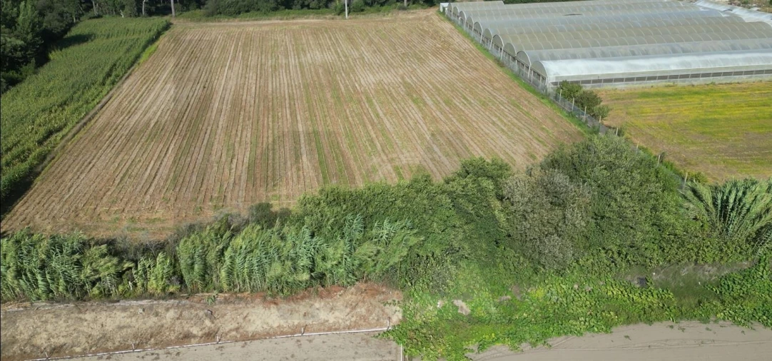 Terreno para Venda em Estela Foto 21