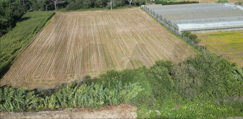 Terreno para Venda em Estela Foto 19