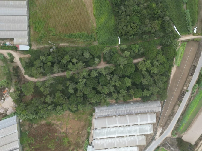 Terreno para Venda em Estela Foto 9