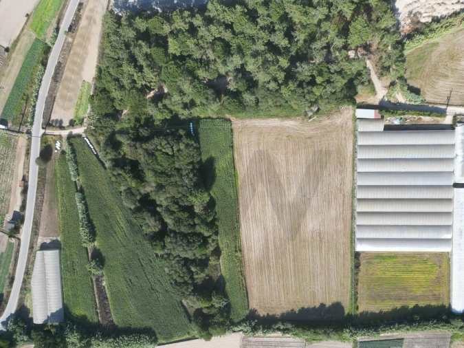 Terreno para Venda em Estela Foto 7