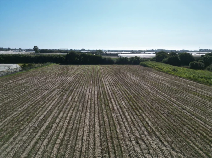 Terreno para Venda em Estela Foto 1