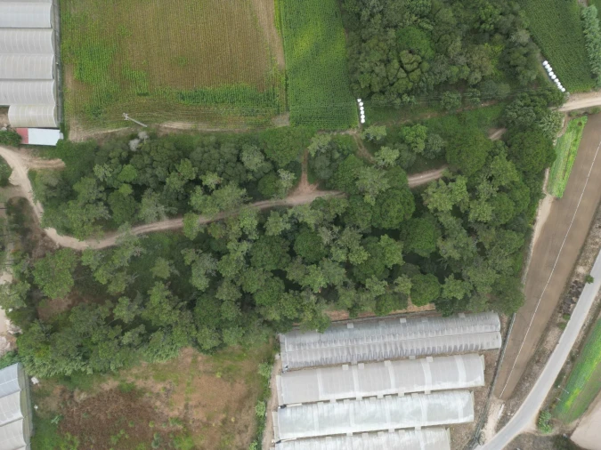 Terreno para Venda em Estela Foto 10